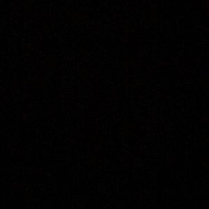 Meet your Posher, Ray